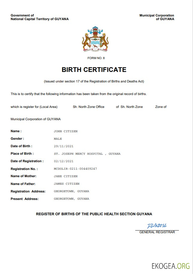 Modèle Word et PDF d'acte de naissance d'acte d'état civil de Guyane